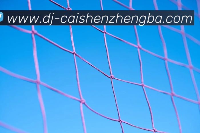 彩神争霸APP 封面图